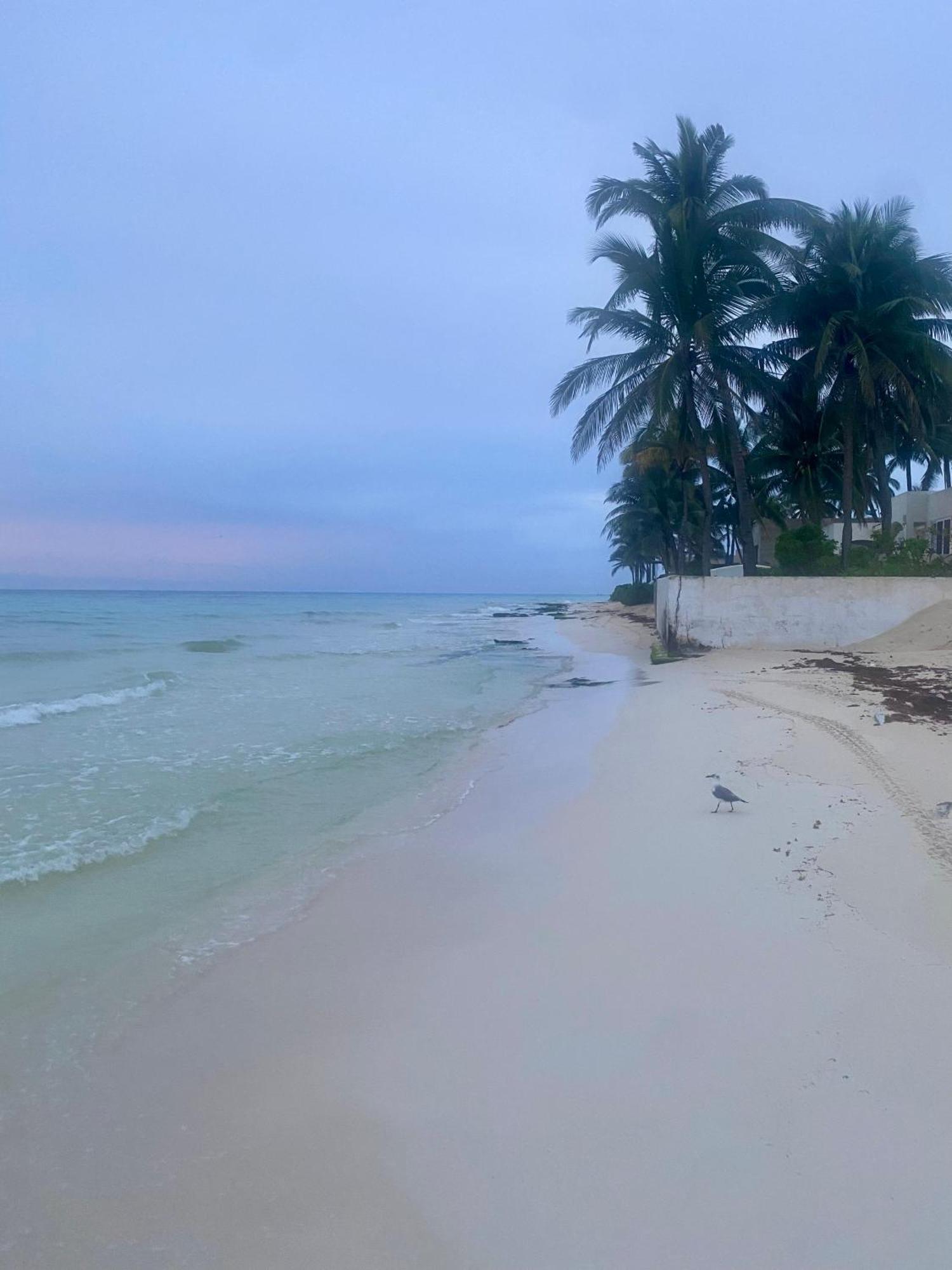 Exclusiva Y Hermosa Residencia Nueva Cerca Del Mar Casa vacanze Playa del Carmen